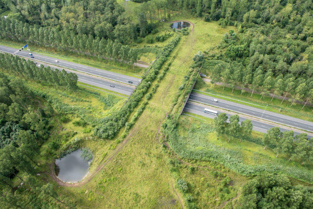 natuurbrug