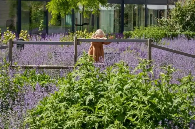 De Eijk Groen en Gezondheid