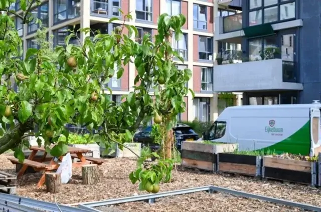 Fruitbomen en eetbaar groen Cartesius moestuin