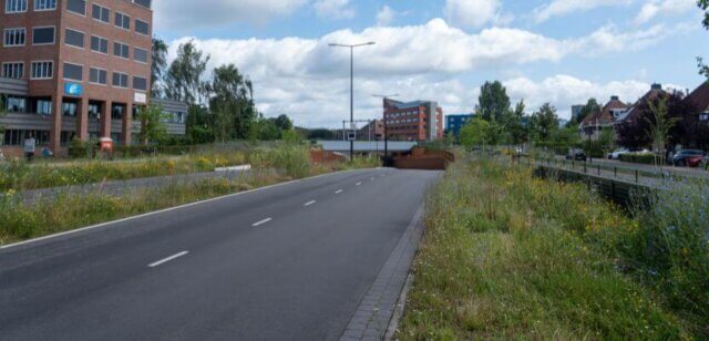 Groeninrichting Laan van Osseveld