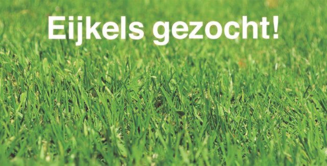 Slider_Eijkels gezocht_nieuw