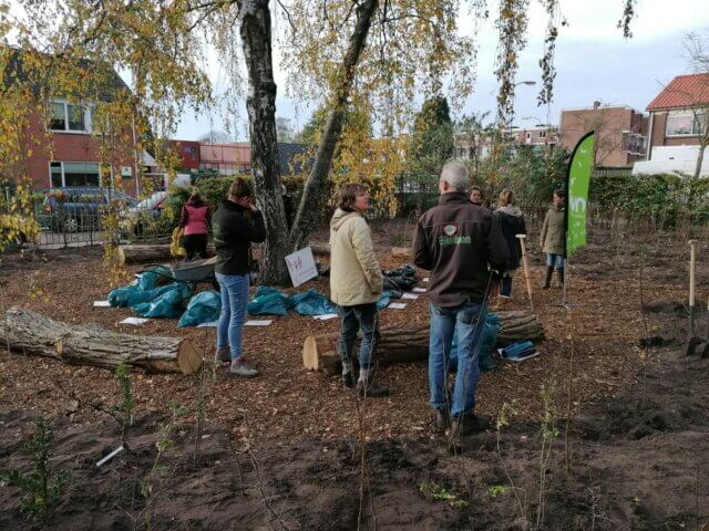 Tiny Forest Vuurvogel ede