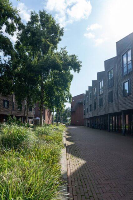 vergroenen winkelcentrum Linie en Fort Apeldoorn