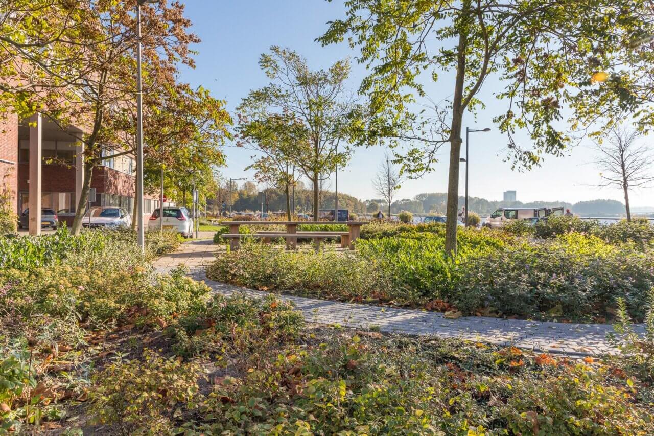 boogaart-almere-groen-en-recreatie-Flevoziekenhuis-Almere-2021-1-2000x1333